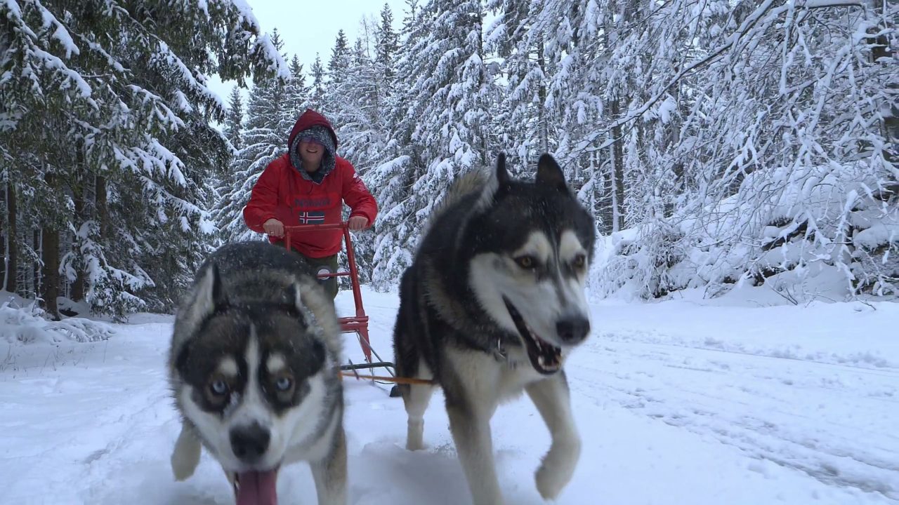 Winterurlaub in Norwegen