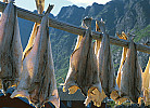Trockenfisch