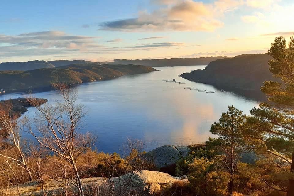 Strandsfjorden