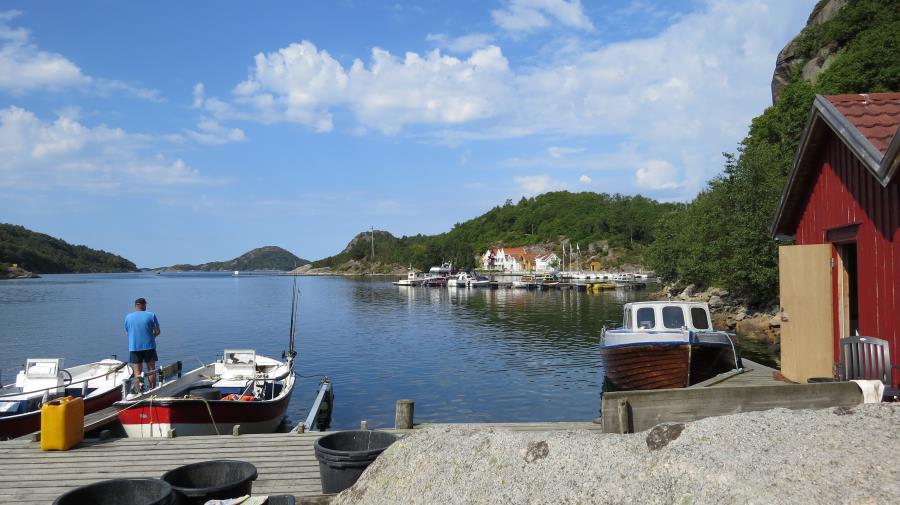 Fjordpanorama