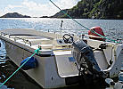 Inklusive ab 2024 Boot Elefant 21 ft. , 50 PS
