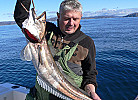 Arne