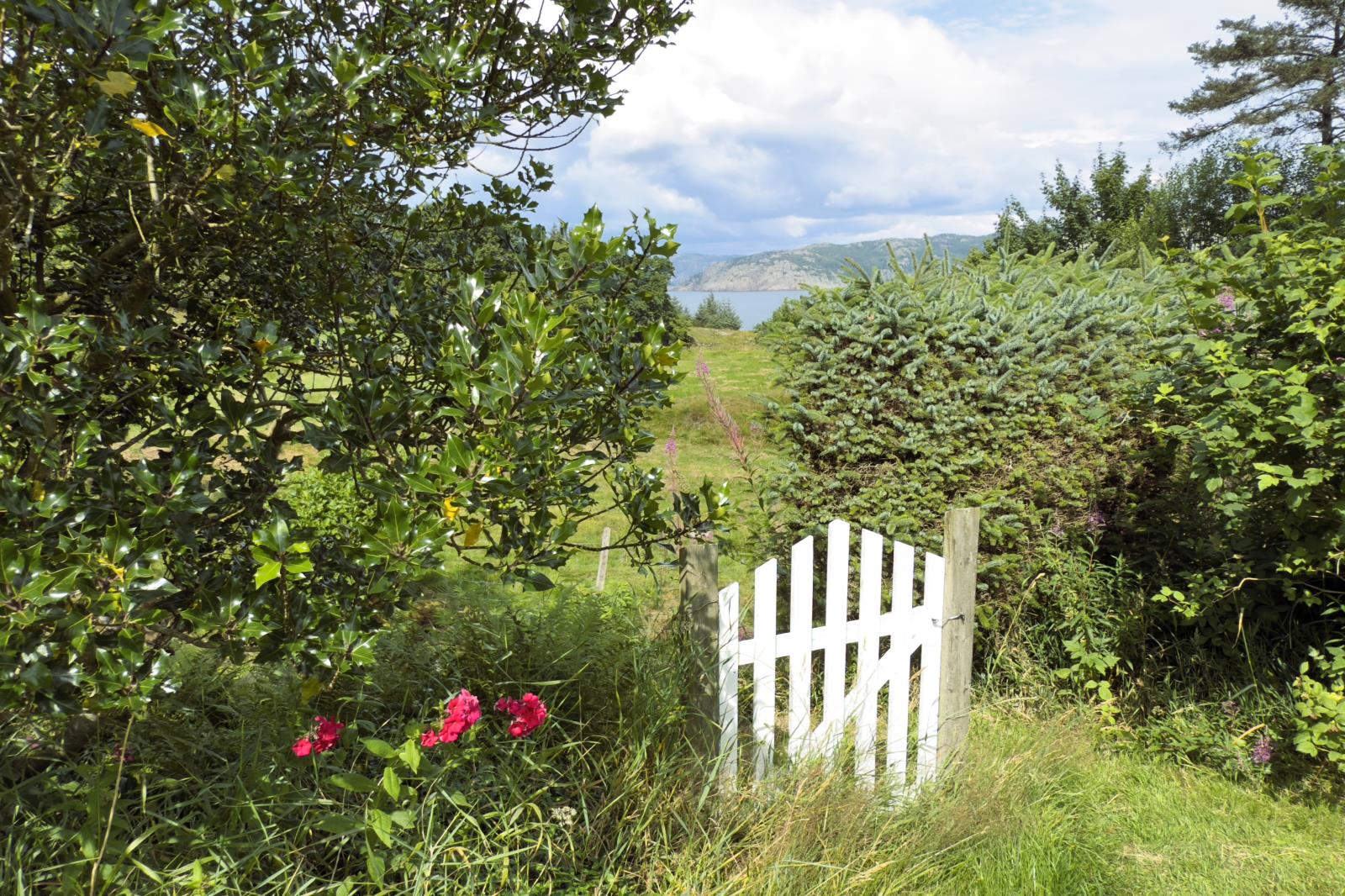 Idylle pur