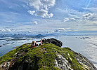 Auf Wandertour, Ferienhaus Vikran am Meer, Nordnorwegen