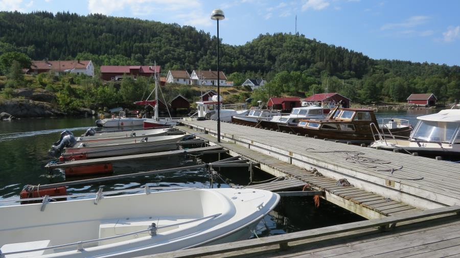 Fjellstrand