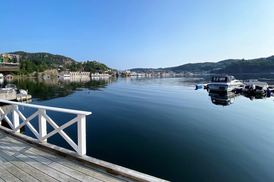 Blick auf den Fjord