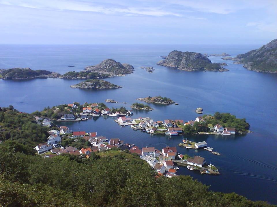Rasvag Hidra