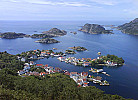 Rasvag Hidra