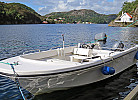 Inklusive ab 2024 Boot Elefant 21 ft. , 50 PS
