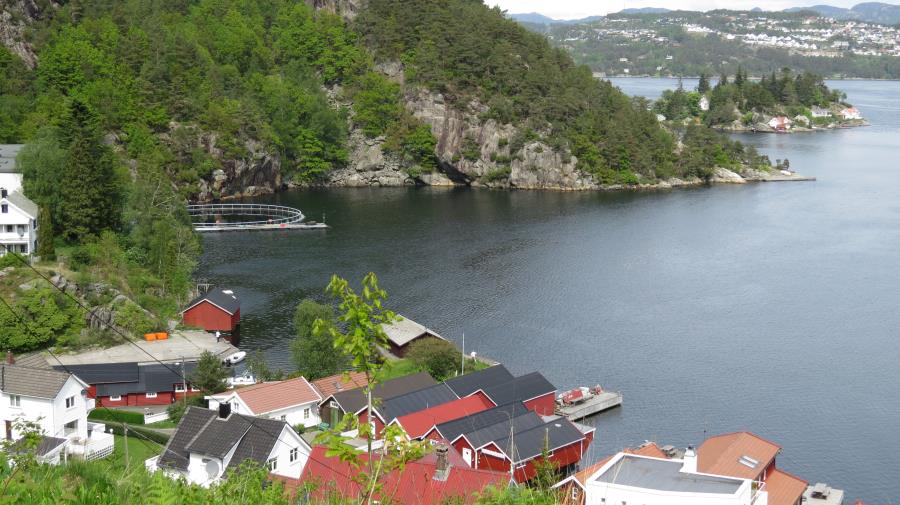 die Blubberblasenbucht bei Fjellsa