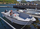 Sting 600, baugleiches Boot