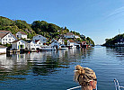 Rasvag
