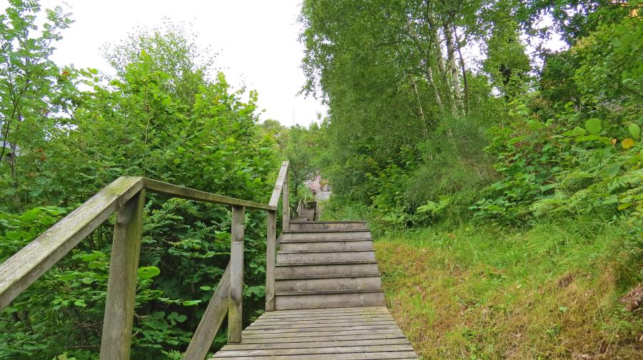 Sicht nach oben