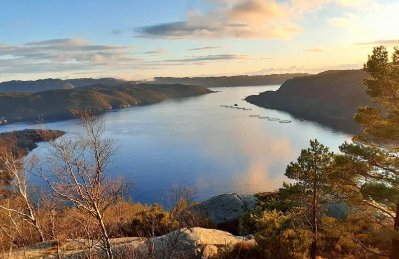 Blick auf den Stolsfjorden