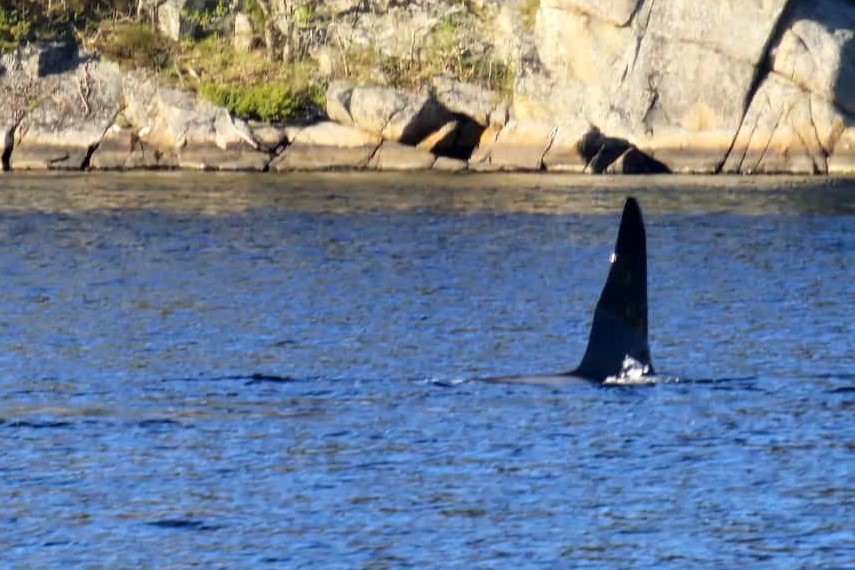 Farsund Nordstranda Hytte 3