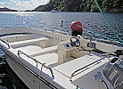 Inklusive ab 2024 Boot Elefant 21 ft. , 50 PS