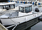 Neu in 2025, Sting 725 Pro, 24 ft., 115 PS, in der Saison inklusive
