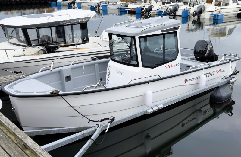 Neu in 2025, Sting 725 Pro, 24 ft., 115 PS, in der Saison inklusive