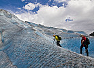 die Gletscher