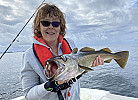 Silke