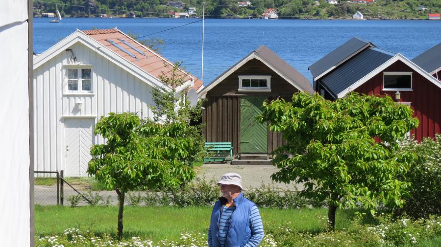 die schönen Gärten von Fjellsa