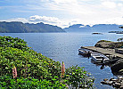 Solvika