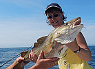 Silke
