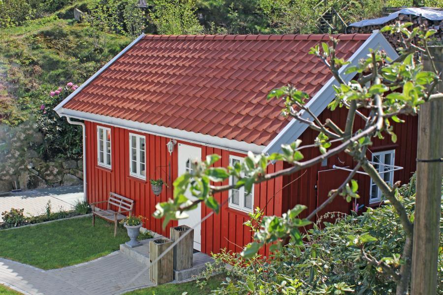 der Annex