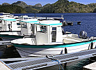 die neue Bootsflotte, Oien 620 Pilothouse
